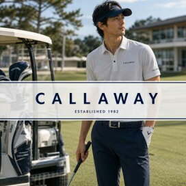 楽天市場】CPG GOLF シーピージーゴルフ 2308-24204 ベスト グレー系 4 