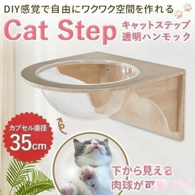 透明空間で猫と暮らすおしゃれDIY 壁面活用の木製キャットウォーク 愛猫のための機能美 ナチュラルインテリアに溶け込む猫カプセル 遊び