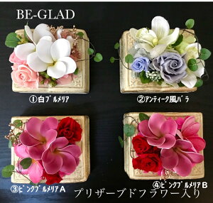 プルメリア プリザーブドフラワー 通販 価格比較 価格 Com