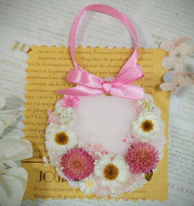 I[_[ A}bNXTVF CgsN Ԃ񂴂 g T[N^ Iׂ鍁 No.202