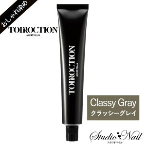 �g�C���N�V���� �t�@�b�V�����J���[ �N���b�V�[�O���C �j���A���X���C�� �e�N�X�`���[ 80g ���������� 1�� �f�~�R�X���e�B�N�X TOIROCTION