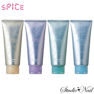 [֑ XpCX `[uV[Y 100g Iׂ4^Cv wAN[ wAbNX wAWF SPICE A~m s