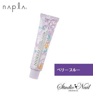 ナプラ ナシードカラー ファッションカラー ベリーブルー BBL 80g入 N-BBL6 N-BBL810 N-BBL12