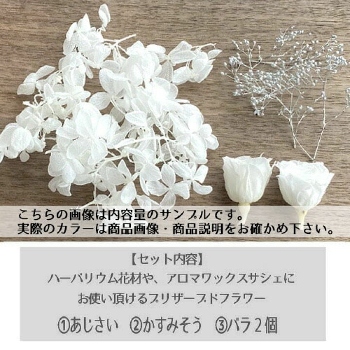 楽天市場】メール便(日本郵便)送料無料 プリザーブドフラワー 黒 バラ 