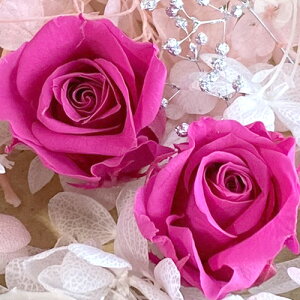 [({X) vU[uht[ sN o 2 & EsN AWTC & Vo[ JX~\E ԍރZbg