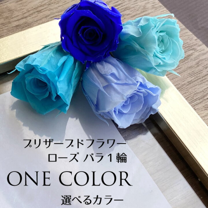 楽天市場】プリザーブドフラワー バラ 1輪 ブルー系 選べる4色 ブルー 
