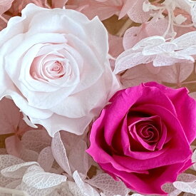メール便(日本郵便)送料無料 プリザーブドフラワー ピンク ライトピンク バラ 2輪 & 白・ピンク アジサイ & 白カスミソウ 花材セット