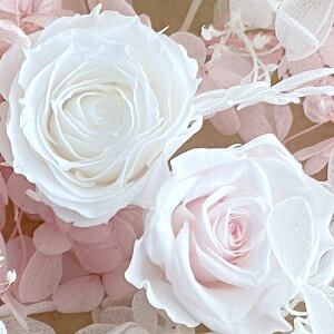 [({X) vU[uht[ CgsN  o 2 & EsN AWTC & JX~\E ԍރZbg