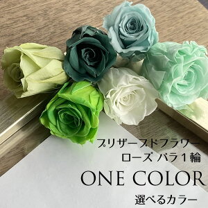 vU[uht[ o 1 O[n Iׂ6F zCgO[ _[NO[ XO[ yp[~g ݃eBt@j[u[