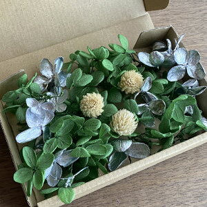 [({X) vU[uht[ NX}X ΁EAWTC&g ԍރZbg