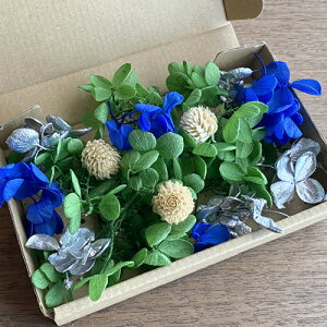 [({X) vU[uht[ NX}X ΁EEAWTC&g ԍރZbg