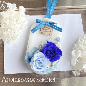 I[_[ A}bNXTVF Cgu[ u[ o AWTC I[o^ Iׂ鍁