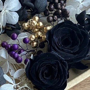 [({X) vU[uht[  o 2 & E AWTC & EE ybp[x[ ԍރZbg