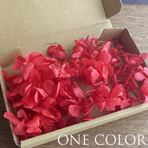 メール便(日本郵便)送料無料 プリザーブドフラワー 紫陽花 アジサイ レッド 赤