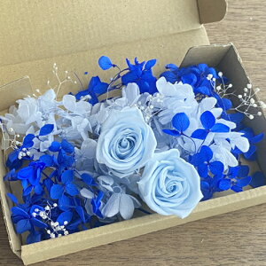 [({X) vU[uht[ Cgu[ o 2ցu[ y[u[ AWTCzCgJX~\E ԍރZbg