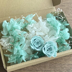 [({X) vU[uht[ ݃eBt@j[u[ o 2ցeBt@j[u[ zCg AWTCzCgJX~\E ԍރZbg