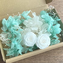 楽天市場】ティファニーブルー（花・ガーデン・DIY）の通販