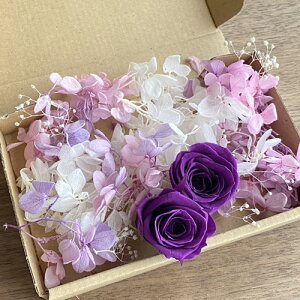 [({X) vU[uht[ p[v o 2ցzCg sNp[vOf AWTCzCgJX~\E ԍރZbg