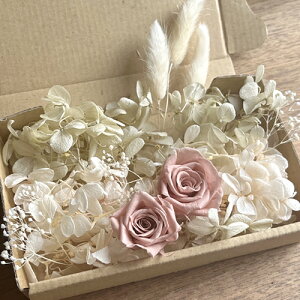 [({X) vU[uht[ AeB[NsN o 2ցVpzCg ݃O[x[W AWTC OX zCgJX~\E ԍރZbg