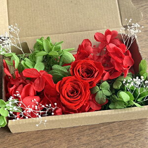 [({X) vU[uht[ NX}X bh ԃo 2ցbh CO[ AWTCzCgJX~\E ԍރZbg