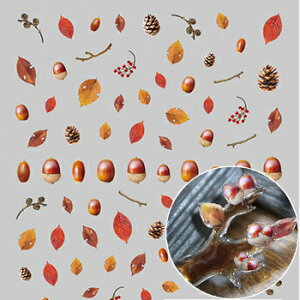 ツメキラ レジンクラブ どんぐりと落ち葉 RC-ACO-101