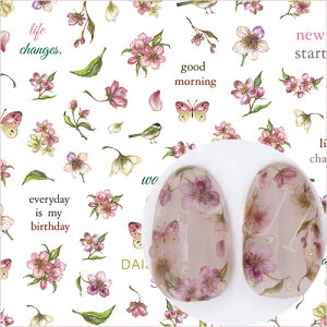 �c���L�� TSUMEKIRA DAISY �v���f���[�X16 DAISY�fS GARDEN SAKURA NN-DAI-124