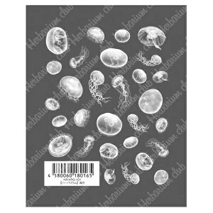 cL n[oE Nu C HR-KRG-101