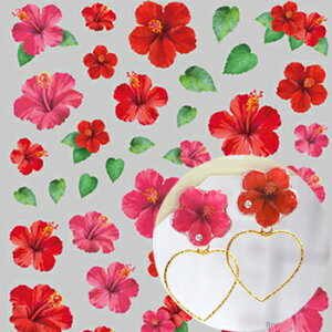 cL WNu nCrXJX () RC-HIB-101