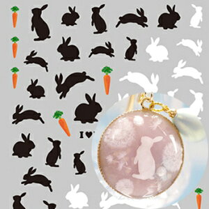 cL WNu VGbg RC-RAB-101