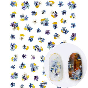 【パッケージなし価格】ツメキラ TSUMEKIRA noble NO-DFG-003 ドライフラワーと金箔3 ブルー ジェル専用ッピーナンバー ゴールド