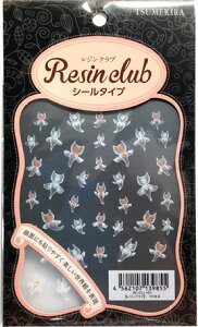 cL WNu NIl RC-CLI-101