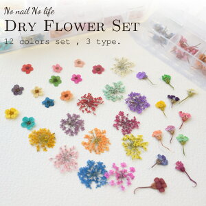 y󂠂E݌ɏiz݌ɏ [։\ hCt[ 12FZbg [P[Xt Iׂ3 [Xt[ JX~\ERf} |ENtgEn Ntg Wp 