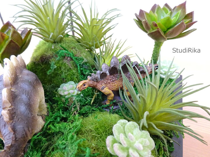 楽天市場 ステゴザウルス 親子 植物生い茂る 太古 世界 人工観葉植物 アートグリーン フェイクグリーン 多肉植物 造花 高級 恐竜 ミニチュア インテリア ジオラマ 雑貨 即日 翌日 アートフラワー専門店スタジオ理佳
