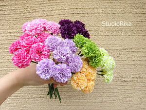 ~j ||} ~j u[P ԑ 6{ CeA v[g Mtg  sN CG[ O[ p[v IW 킢  Jt Vv  A[eBtBV