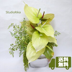 yX[p[SALEIzzAX[ _ AW  50cm CeA  v[g Mtg  A[eBtBVt[ A[gt[  AWg 