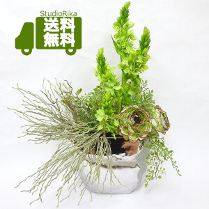 iLX I[j\K _ AW  50cm CeA v[g Mtg X^CbV   A[eBtBVt[  AWg lHϗtA 