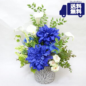 _A o J[ u[ zCg AW CeA  o o KN  u₩ ^[RCY Cu[ C j  A[eBtBVt[ A[gt[