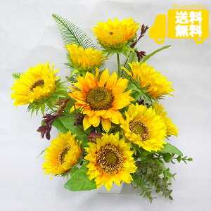 Ђ܂ JK[|[ AW CeA v[g Mtg  X Vbv  CG[ O[  킢 F 邢   A[eBtBVt[ A[gt