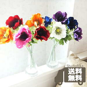 All KXx[X AW CeA v[g  킢 ԕrt bh IW sN p[v CeAt[ Jt rrbg  A[eBtBVt