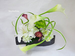 yZ~I[_[izJ[ JTuJ _ AW CeA v[g Mtg  ό` ς ΂  Ȑ  A[eBtBVt[ A[gt[ 