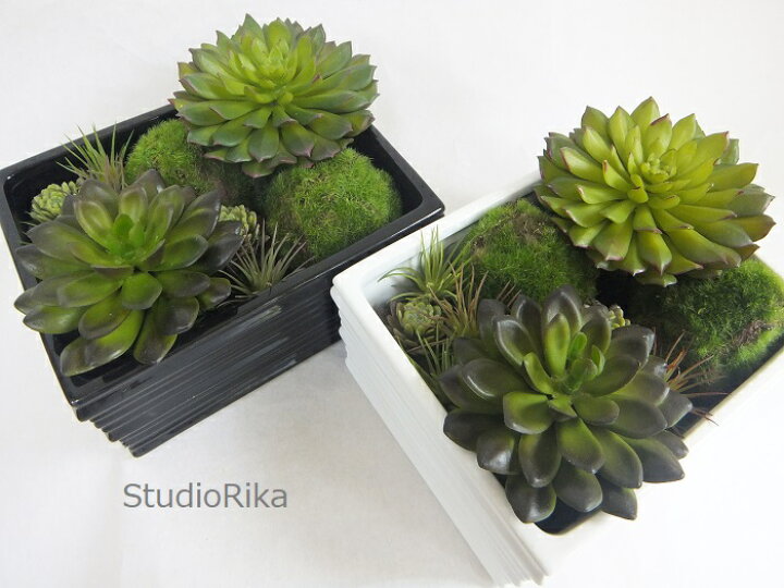 楽天市場 多肉植物 モスボール 苔玉 寄せ植え アレンジ 母の日 インテリア プレゼント ギフト 人工観葉植物 フェイクグリーン おしゃれ ホテルライク モダン リアル ホワイト ブラック 卓上 造花 高級 アレンジメント 即日 翌日 送料無料 アートフラワー専門店スタジオ理佳
