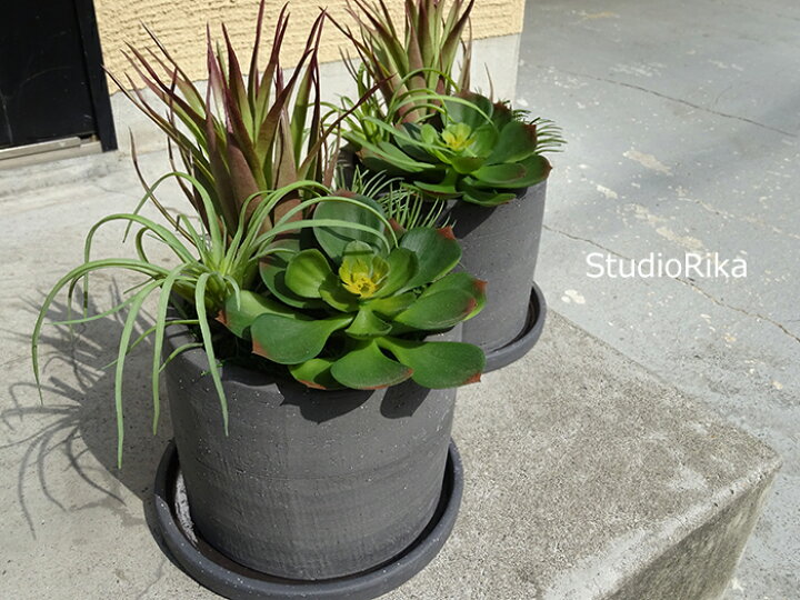 楽天市場 多肉植物 寄せ植え アレンジ インテリア プレゼント ギフト 人工観葉植物 フェイクグリーン リアル ナチュラル おしゃれ エケベリア エアプランツ アガベ 造花 アートフラワー 高級 アレンジメント 翌日 即日 あす楽 送料無料 アートフラワー専門店スタジオ理佳