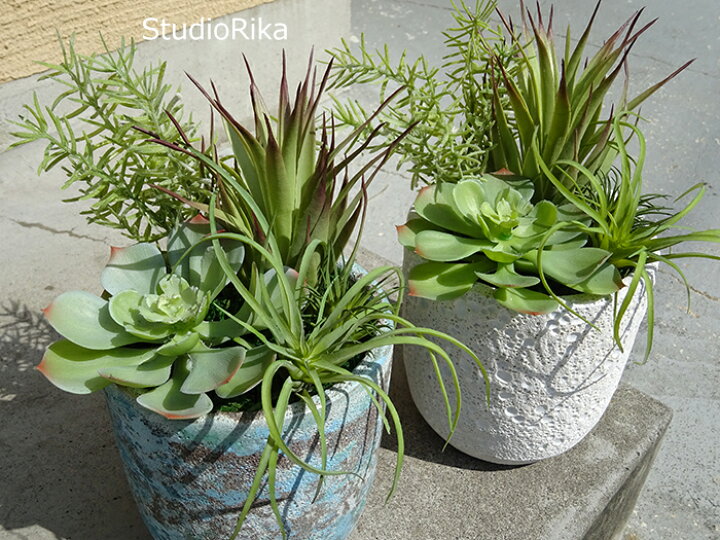 楽天市場 多肉植物 グリーン 寄せ植え アレンジ 2種 インテリア プレゼント ギフト 人工観葉植物 フェイクグリーン リアル おしゃれ 陶器 装飾 エケベリア エアプランツ アガベ 造花 高級 アレンジメント 送料無料 アートフラワー専門店スタジオ理佳