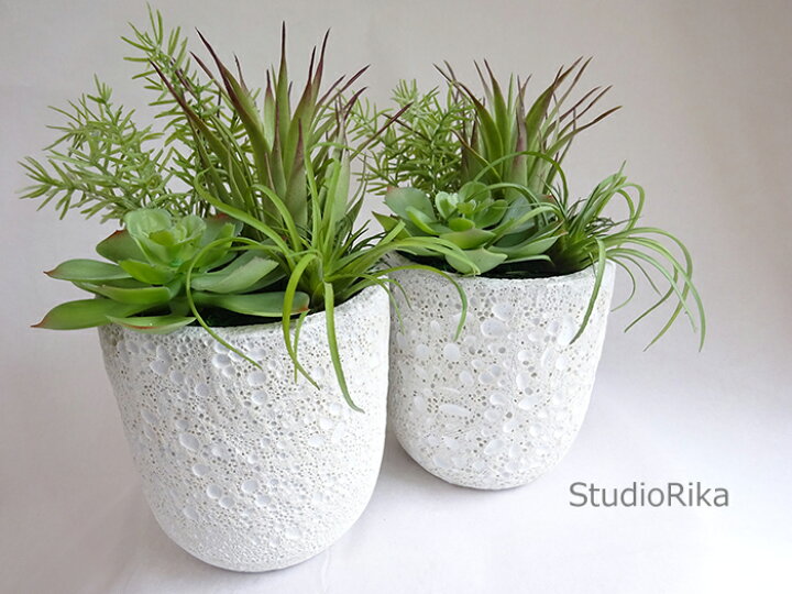 楽天市場】多肉植物 グリーン 寄せ植え アレンジ 2種 インテリア 