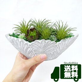 エアプランツ サッカレンテン 寄せ植え アレンジ インテリア プレゼント ギフト 人工観葉植物 フェイクグリーン 多肉植物 リアル ミニ 小さい 卓上 おしゃれ かわいい グリーン 造花 高級 アレンジ 送料無料 母の日