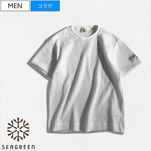 y艿16,500~(ō)zSeagreen × Studio Route134 -V[O[×X^WI[g134 rbObtl̊ÂiɏlCV[YI R{ʒ_ul[^Ot rbNbtTV