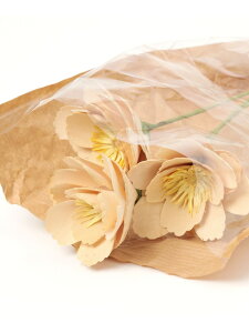 ySALE^30%OFFzEbht[u[P studio CLIP X^fBINbv CeAEG IuWFEuEA[g zCg IW CG[ p[vyRBA_Ez[Rakuten Fashion]