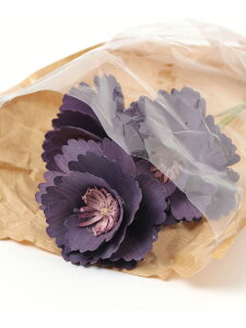 ySALE^30%OFFzEbht[u[P studio CLIP X^fBINbv CeAEG IuWFEuEA[g zCg IW CG[ p[vyRBA_Ez[Rakuten Fashion]