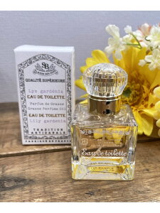 �I�[�h�g����[Senteur et Beaute] studio CLIP �X�^�f�B�I�N���b�v �t���O�����X ���� ���b�h �z���C�g[Rakuten Fashion]