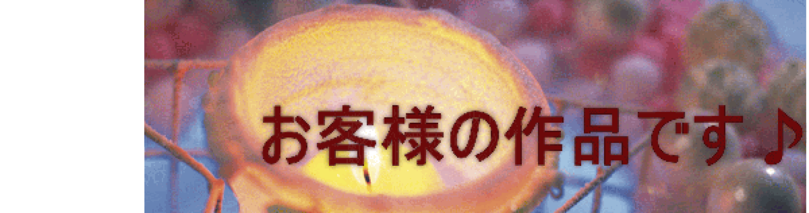 お客様の作品です